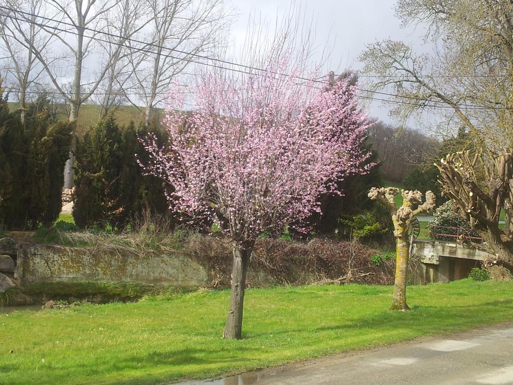 Chambre D'Hotes Le Moulin D'Encor Seysses-Saves Exterior foto
