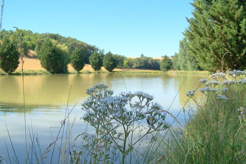 Chambre D'Hotes Le Moulin D'Encor Seysses-Saves Exterior foto